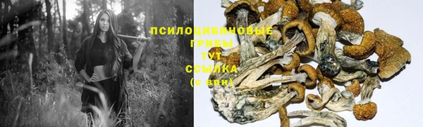 Альфа ПВП Горно-Алтайск